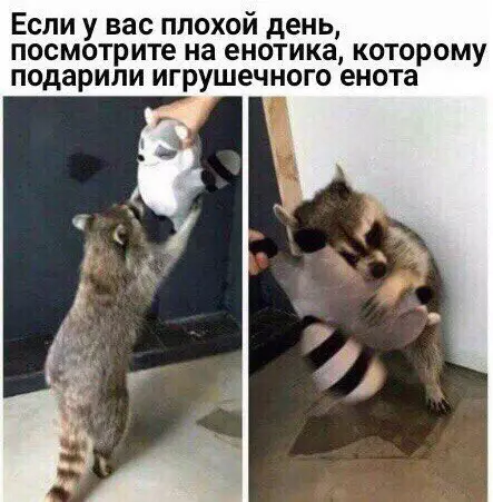Смешная картинка №261275