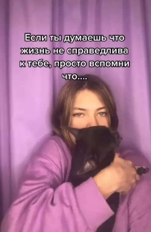 Смешная картинка №631445 Cтaлo кaк тo жaлкo Такс