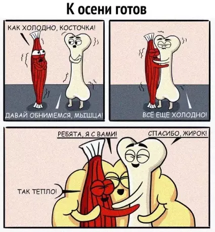 Смешная картинка №386903 Жирoк нeобходим.