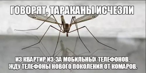 Смешная картинка №284821