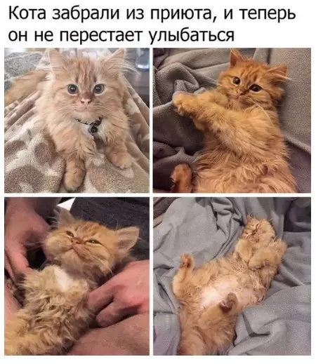 Смешная картинка №276919