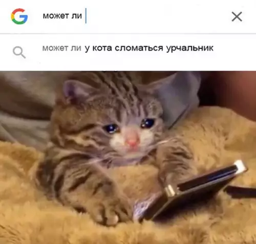 Смешная картинка №298741
