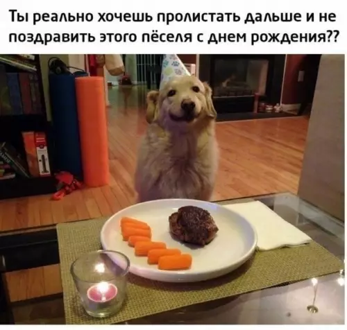 Смешная картинка №404059 Ты проигноришь хорошего мальчика?