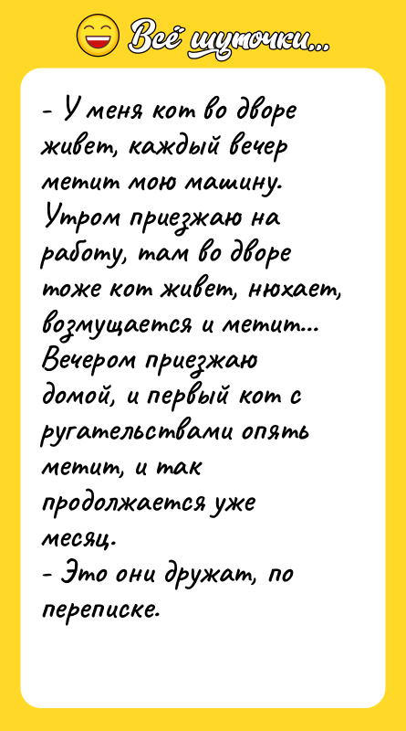 - У меня кот во дворе живет, каждый вечер метит