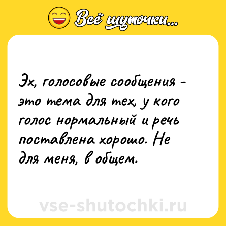 Шутка: Эх, голосовые сообщения - это тема для тех, у кого голос нормальный и речь поставлена хорошо. Не для меня, в общем.
