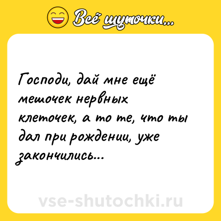 Шутка: Господи, дай мне ещё мешочек нервных клеточек, а то те, что ты дал при рождении, уже закончились...