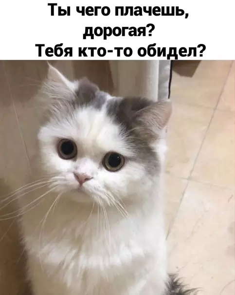 Смешная картинка №552610