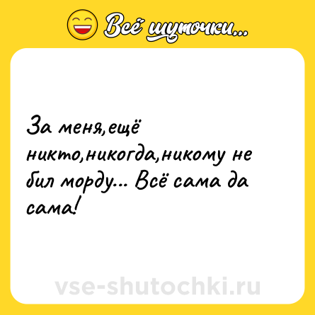 Шутка: За меня,ещё никто,никогда,никому не бил морду... Всё сама да сама!