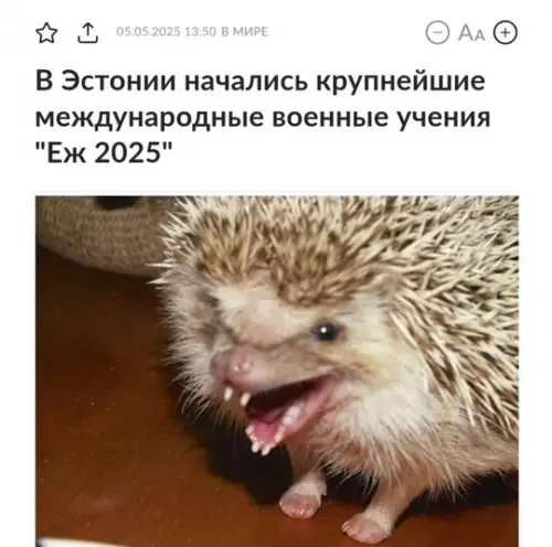 Смешная картинка №765263 Это вам уже не чихуахуа