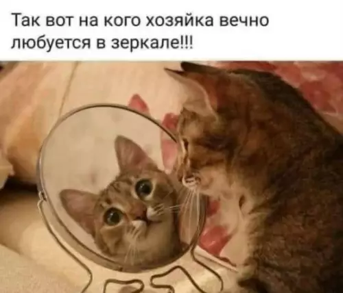 Смешная картинка №799952