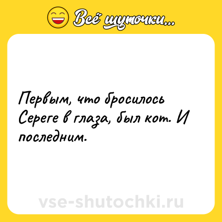 Шутка: Первым, что бросилось Сереге в глаза, был кот. И последним.