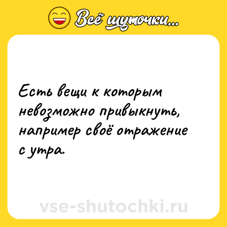 Шутка: Есть вещи к которым невозможно привыкнуть, например своё отражение с утра.