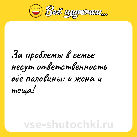 Шутка: За проблемы в семье несут ответственность обе половины: и жена и теща!
