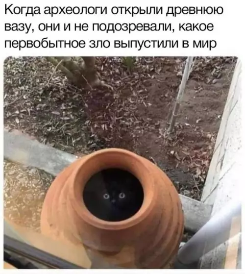 Смешная картинка №656467