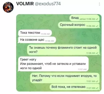 Логика уровня Бог 🦩 - Влад: Срочный вопрос. Я: Тока текстом. На созвоне щас. Влад: