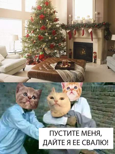 Смешная картинка №317672
