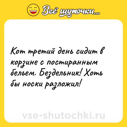 Шутка: Кот третий день сидит в корзине с постиранным бельем. Бездельник! Хоть бы носки разложил!
