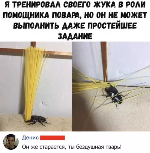 Смешная картинка №370475