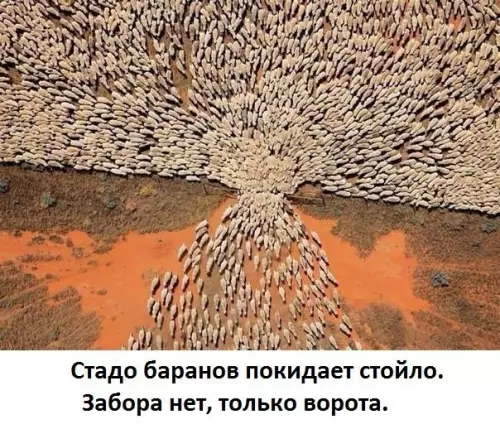 Смешная картинка №259558