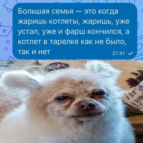 Смешная картинка №684020