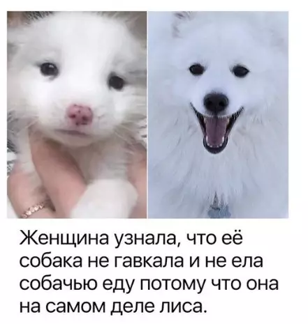 Смешная картинка №316395