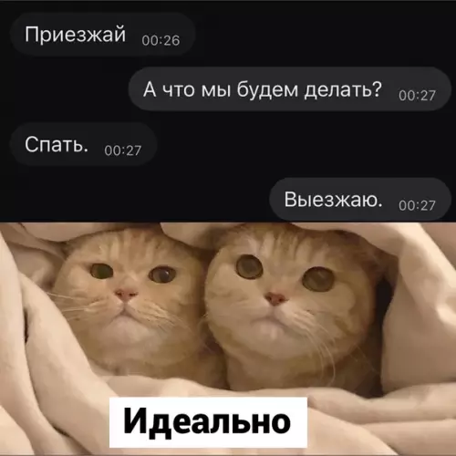 Смешная картинка №619187 Xopoшee этo дeлo
