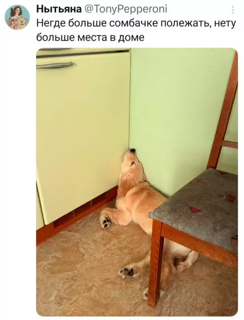 Смешная картинка №796540