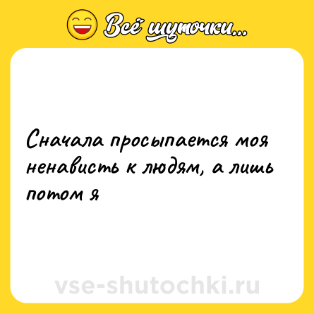 Шутка: Сначала просыпается моя ненависть к людям, а лишь потом я