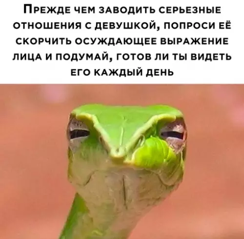 Смешная картинка №642586