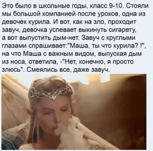 Смешная картинка №505883 Оригинальная отмазка