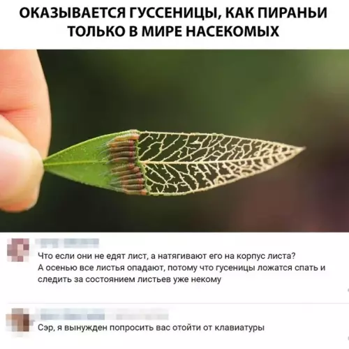 Смешная картинка №310320