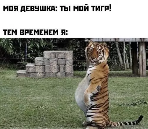 Смешная картинка №580135 Немного не в форме