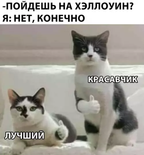 Смешная картинка №311483