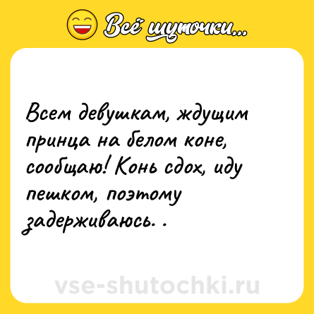 Шутка: Всем девушкам, ждущим принца на белом коне, сообщаю! Конь сдох, иду пешком, поэтому задерживаюсь. .