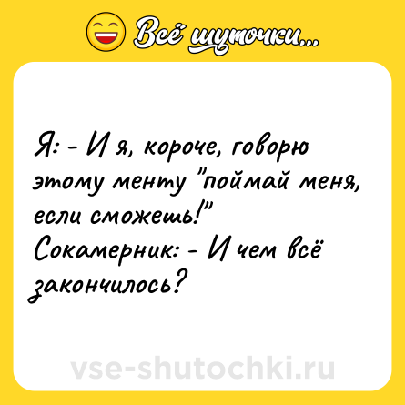 Шутка: Я: - И я, короче, говорю этому менту 