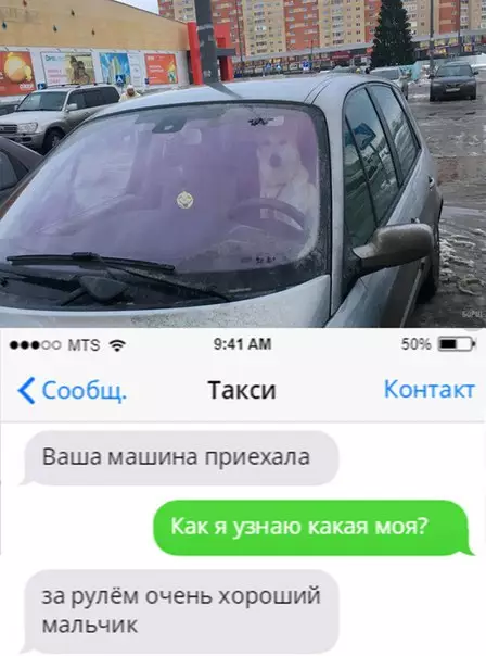 Смешная картинка №218894 собаки