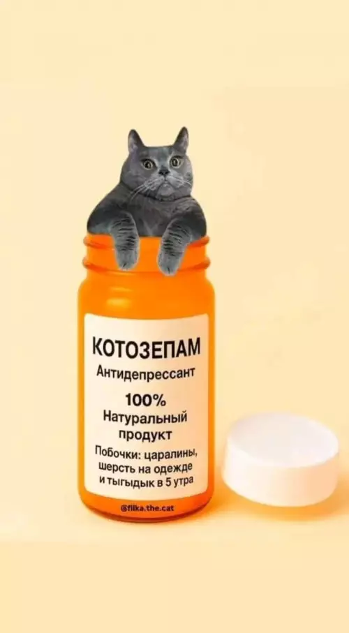 Смешная картинка №786446