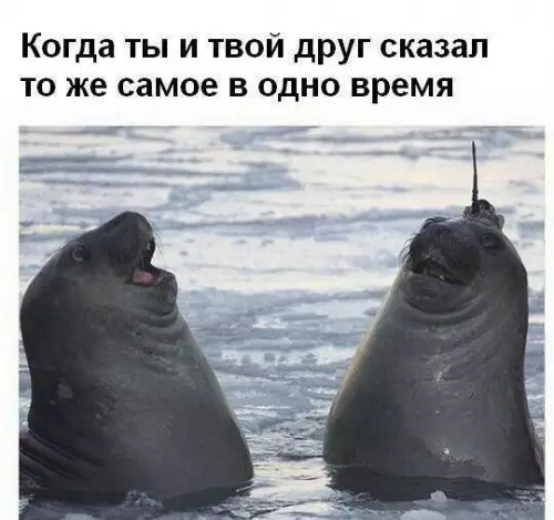 Смешная картинка №201945