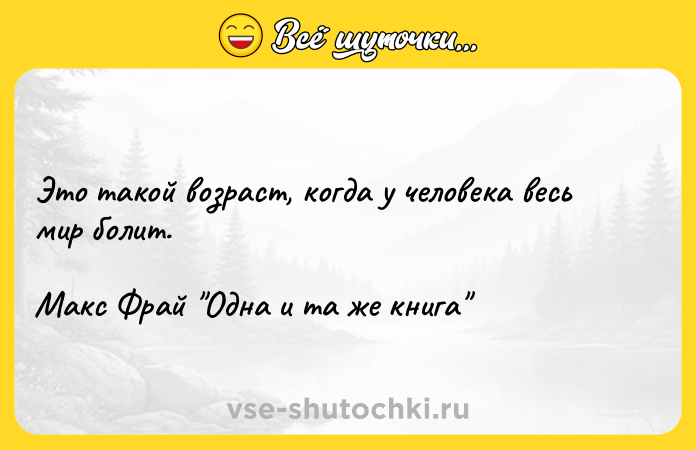 Цитата: Это такой возраст, когда у человека весь мир болит.Макс Фрай Одна и та же книга