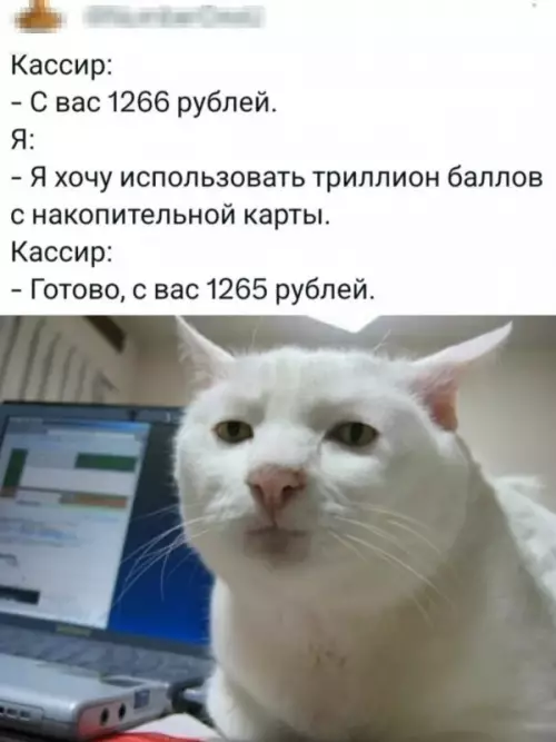 Когда пытаешься обмануть систему 😼 - Кассир: - С вас 1266 рублей. Я: - Я хочу