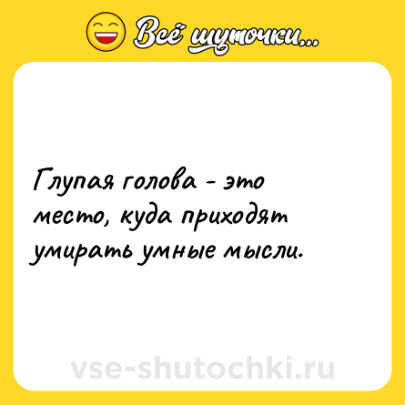 Шутка: Глупая голова - это место, куда приходят умирать умные мысли.