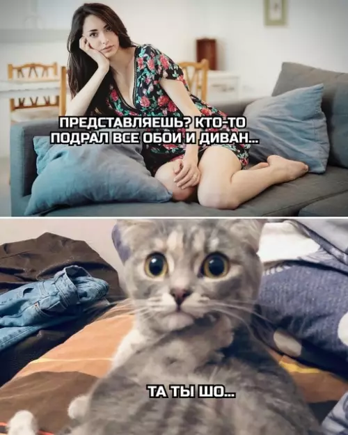Смешная картинка №682792