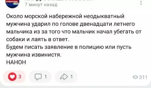 Когда решил потроллить собаку 🐶😂 - Около морской набережной неодыкватный мужчина ударил по голове двенадцати летнего