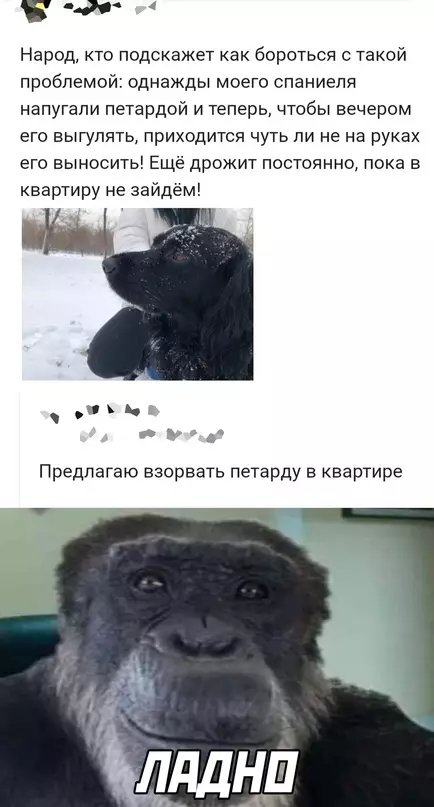 Смешная картинка №666561
