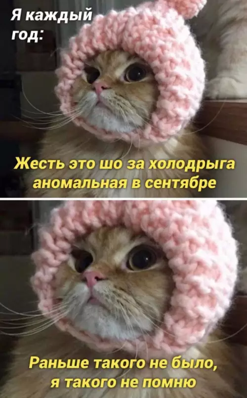 Смешная картинка №659733