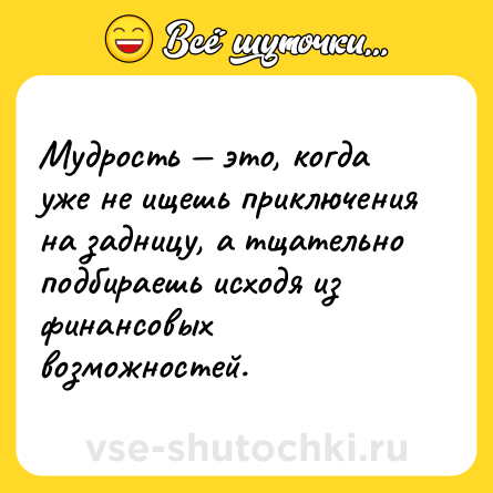 Шутка: Мудрость — это, когда уже не ищешь приключения на задницу, а тщательно подбираешь исходя из финансовых возможностей.