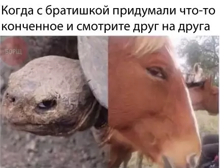 Смешная картинка №224641