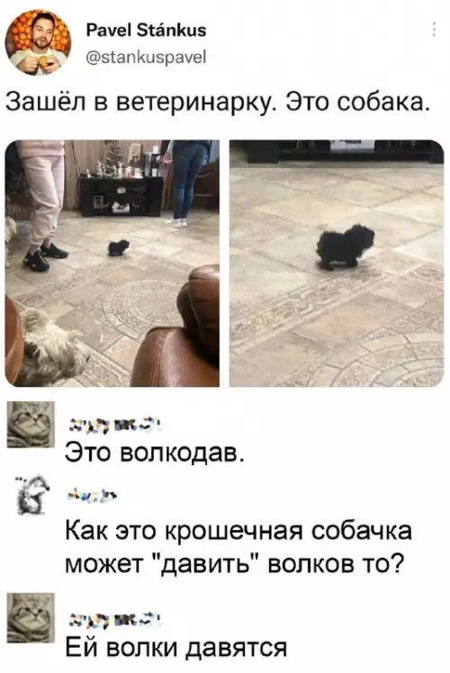 Смешная картинка №721575
