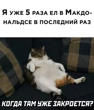 Смешная картинка №633570