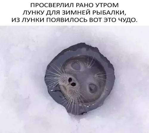 Смешная картинка №215641